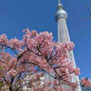 ヒメ日記 2026/03/13 17:15 投稿 まき レースクィーン