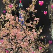 ヒメ日記 2026/04/04 13:06 投稿 まき レースクィーン