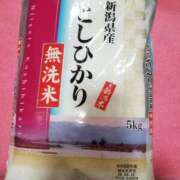 ヒメ日記 2025/04/03 00:26 投稿 まや 多恋人