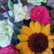 まや まややんの独り言🌈 多恋人