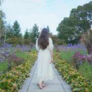 ヒメ日記 2025/07/25 16:27 投稿 香月あずさ サクラ（すすきの）