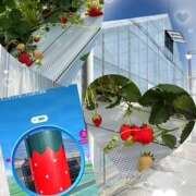 ヒメ日記 2025/04/16 16:13 投稿 おりひめ★ レースクィーン