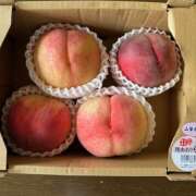 ヒメ日記 2025/08/05 17:19 投稿 おりひめ★ レースクィーン