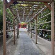 ヒメ日記 2025/08/29 18:08 投稿 おりひめ★ レースクィーン