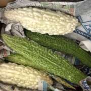 ヒメ日記 2025/09/07 17:19 投稿 おりひめ★ レースクィーン