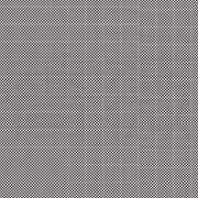 ヒメ日記 2025/10/29 20:14 投稿 おりひめ★ レースクィーン