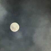 ヒメ日記 2026/02/03 17:12 投稿 おりひめ★ レースクィーン