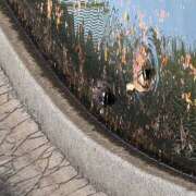 ヒメ日記 2026/03/01 13:55 投稿 おりひめ★ レースクィーン