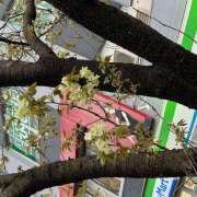 ヒメ日記 2026/04/05 10:28 投稿 おりひめ★ レースクィーン