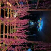 ヒメ日記 2026/04/14 20:18 投稿 おりひめ★ レースクィーン