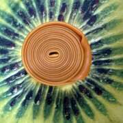 ヒメ日記 2026/04/17 17:35 投稿 おりひめ★ レースクィーン