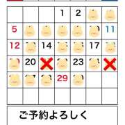 ヒメ日記 2026/04/25 07:31 投稿 おりひめ★ レースクィーン