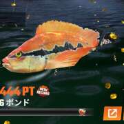ヒメ日記 2026/09/08 17:42 投稿 おりひめ★ レースクィーン