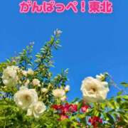 ヒメ日記 2026/03/11 06:15 投稿 一条じゅん 若奥サマンサ（横浜ハレ系）