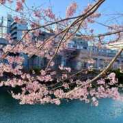 ヒメ日記 2026/03/22 04:45 投稿 一条じゅん 若奥サマンサ（横浜ハレ系）