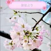 ヒメ日記 2026/04/04 05:15 投稿 一条じゅん 若奥サマンサ（横浜ハレ系）