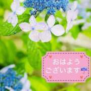 ヒメ日記 2026/06/27 05:30 投稿 一条じゅん 若奥サマンサ（横浜ハレ系）