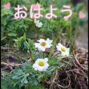 ヒメ日記 2026/07/09 05:15 投稿 一条じゅん 若奥サマンサ（横浜ハレ系）