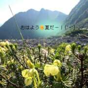 ヒメ日記 2026/08/05 04:45 投稿 一条じゅん 若奥サマンサ（横浜ハレ系）