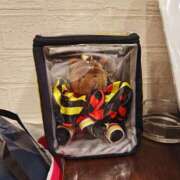 一条うらら あざました！ 若奥サマンサ（横浜ハレ系）