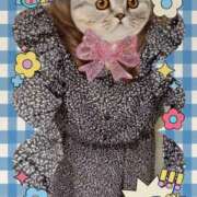 みに 🍓みに🍓みに🍓です🍒 熟女家 十三店