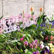 ヒメ日記 2025/02/02 07:15 投稿 さよこ ゴールド 愛ロマンス