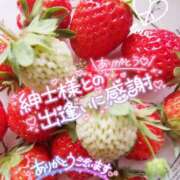 ヒメ日記 2025/03/24 06:40 投稿 さよこ ゴールド 愛ロマンス