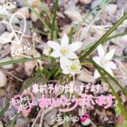 ヒメ日記 2025/05/19 06:25 投稿 さよこ ゴールド 愛ロマンス