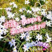 ヒメ日記 2025/06/08 21:46 投稿 さよこ ゴールド 愛ロマンス