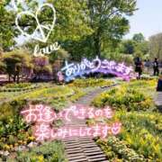 ヒメ日記 2025/06/14 09:06 投稿 さよこ ゴールド 愛ロマンス