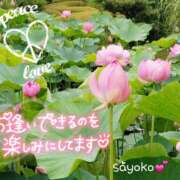 ヒメ日記 2025/07/20 09:03 投稿 さよこ ゴールド 愛ロマンス