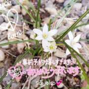 ヒメ日記 2025/08/17 07:37 投稿 さよこ ゴールド 愛ロマンス