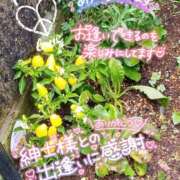 ヒメ日記 2025/09/06 07:13 投稿 さよこ ゴールド 愛ロマンス