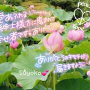 ヒメ日記 2025/10/01 07:58 投稿 さよこ ゴールド 愛ロマンス