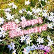 ヒメ日記 2025/10/12 07:19 投稿 さよこ ゴールド 愛ロマンス