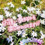 ヒメ日記 2025/10/13 05:49 投稿 さよこ ゴールド 愛ロマンス