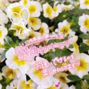 ヒメ日記 2025/10/28 08:37 投稿 さよこ ゴールド 愛ロマンス