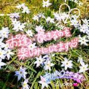 ヒメ日記 2025/11/02 17:30 投稿 さよこ ゴールド 愛ロマンス