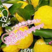 ヒメ日記 2025/11/07 04:55 投稿 さよこ ゴールド 愛ロマンス