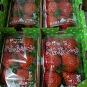 ヒメ日記 2025/12/14 16:45 投稿 さよこ ゴールド 愛ロマンス