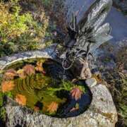 ヒメ日記 2026/01/09 06:15 投稿 さよこ ゴールド 愛ロマンス