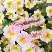 ヒメ日記 2026/02/10 16:24 投稿 さよこ ゴールド 愛ロマンス