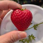 ヒメ日記 2026/03/28 07:14 投稿 さよこ ゴールド 愛ロマンス