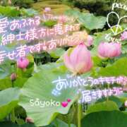 ヒメ日記 2026/08/28 13:19 投稿 さよこ ゴールド 愛ロマンス