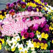 ヒメ日記 2026/09/13 07:01 投稿 さよこ ゴールド 愛ロマンス