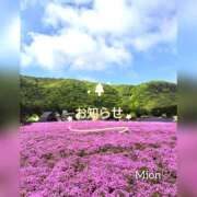 ヒメ日記 2024/12/14 08:00 投稿 みおん ハピネス東京 吉原店