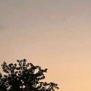 ヒメ日記 2025/09/10 06:39 投稿 城ケ崎　れい エテルナ京都