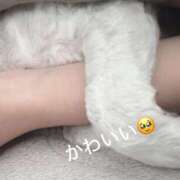 ヒメ日記 2025/10/03 20:56 投稿 城ケ崎　れい エテルナ京都