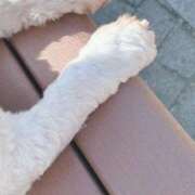 ヒメ日記 2025/11/17 15:27 投稿 城ケ崎　れい エテルナ京都