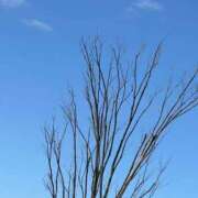 ヒメ日記 2026/02/17 16:01 投稿 城ケ崎　れい エテルナ京都